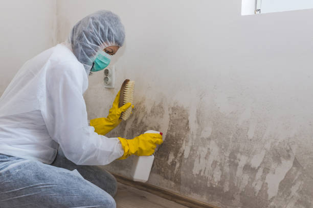 Best Mold Testing and Inspection Services in Pawnee, OK