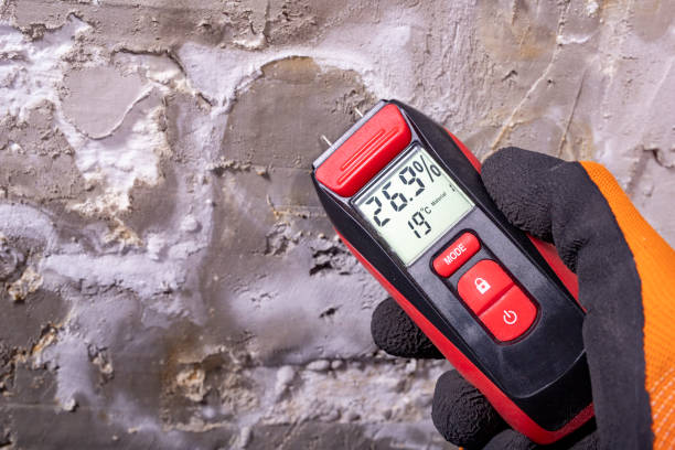 Best Industrial Mold Remediation in Pawnee, OK