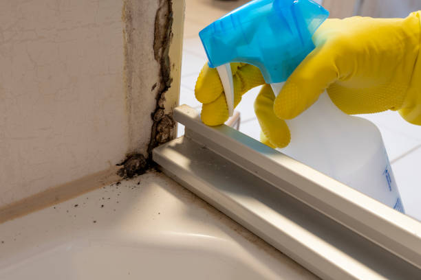Best Crawl Space Mold Remediation in Pawnee, OK