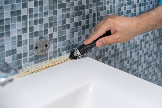 Best Mold Remediation for Schools in Pawnee, OK