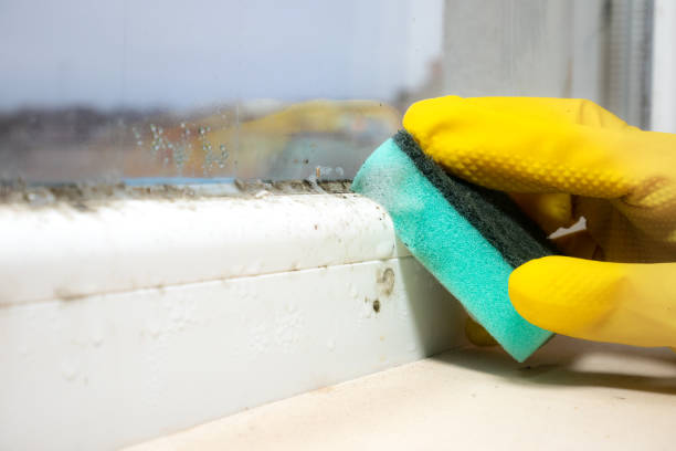 Best Mold Remediation for Specific Building Types in Pawnee, OK