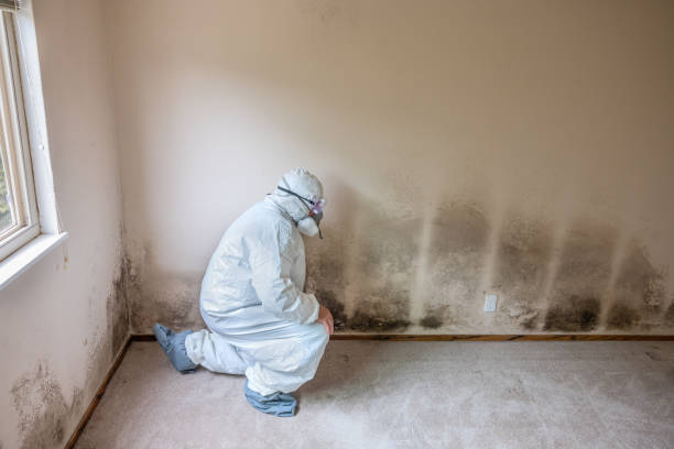 Best Kitchen Mold Remediation in Pawnee, OK