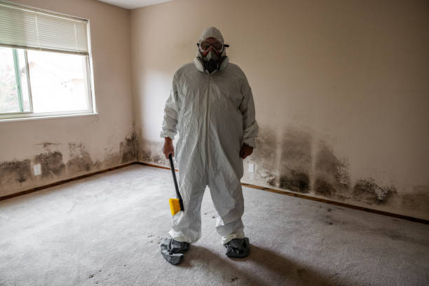 Reliable Pawnee, OK Mold Remediation Solutions